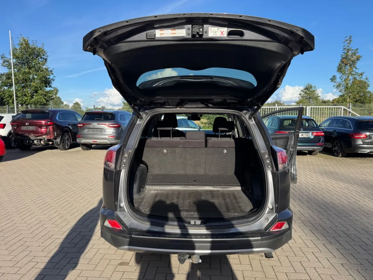 Toyota RAV4 2.5 Hybrid AWD · Edition-S — фото 12